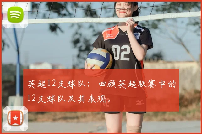 英超12支球队:回顾英超联赛中的12支球队及其表现。